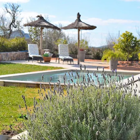 249 Son Alcaines Petit Etv7648 By Mallorca Charme Holiday home *